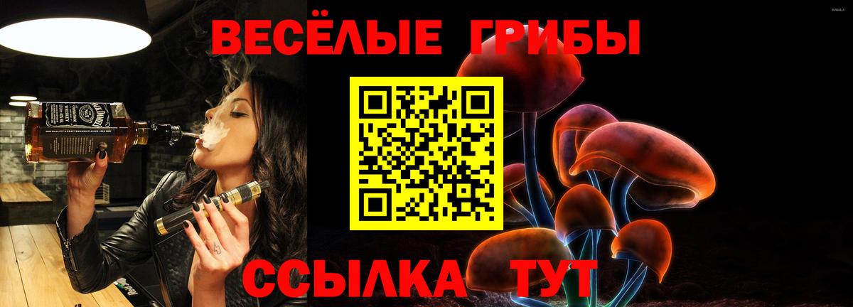 Галлюциногенные грибы Psilocybe  наркотики  Прокопьевск  Вход с VPN 